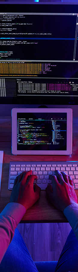 desarrollo web